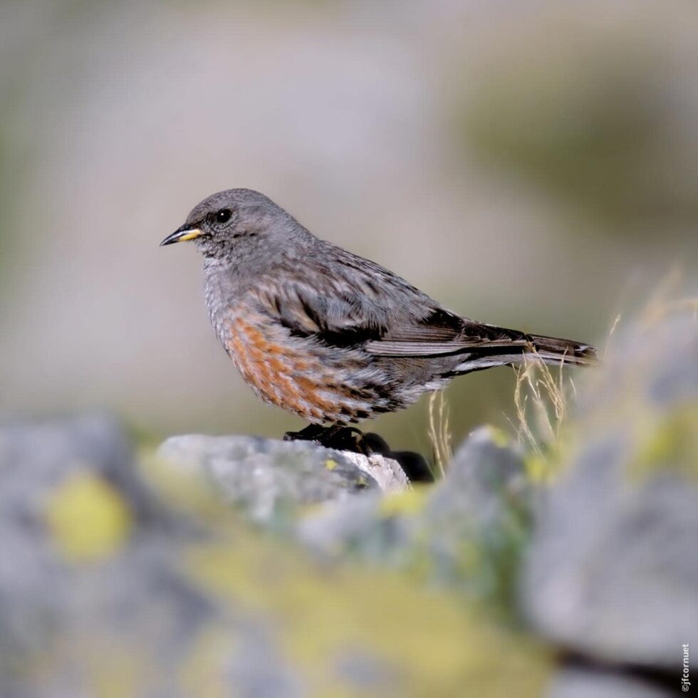 + 131 Voir toutes mes photos